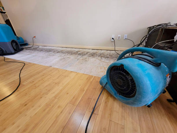 Professional Structural Drying technician working in Morris, IL